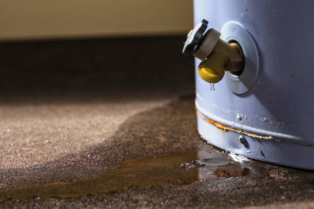 Best Carpet water damage restoration  in Alton, TX