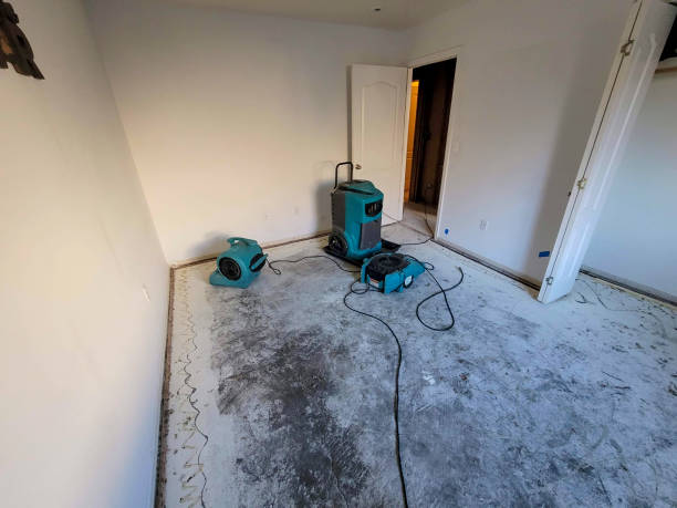 Best Residential water damage restoration  in Alton, TX