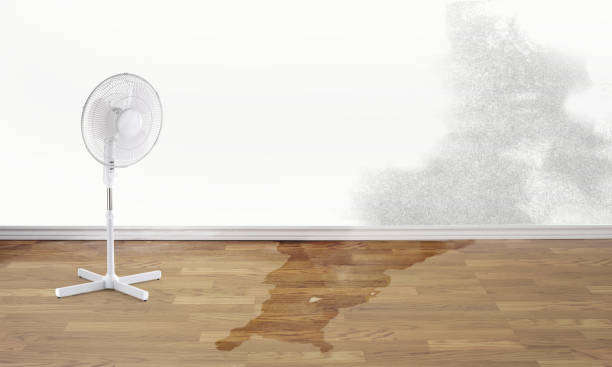 Best Commercial water damage restoration  in Alton, TX