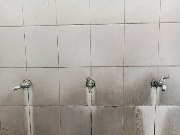 Best Professional water damage repair  in Alton, TX