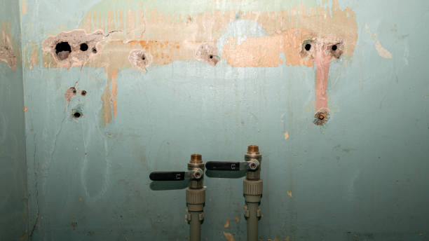 Local water damage restoration in Alton, TX