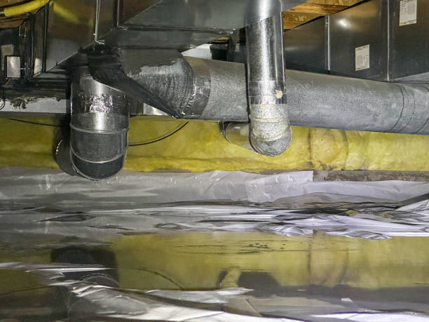 Best 24-hour water damage restoration  in Alton, TX