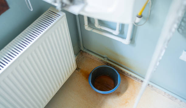 Best Flood restoration services  in Alton, TX