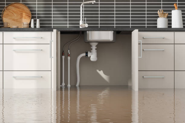 Best Ceiling water damage repair  in Alton, TX