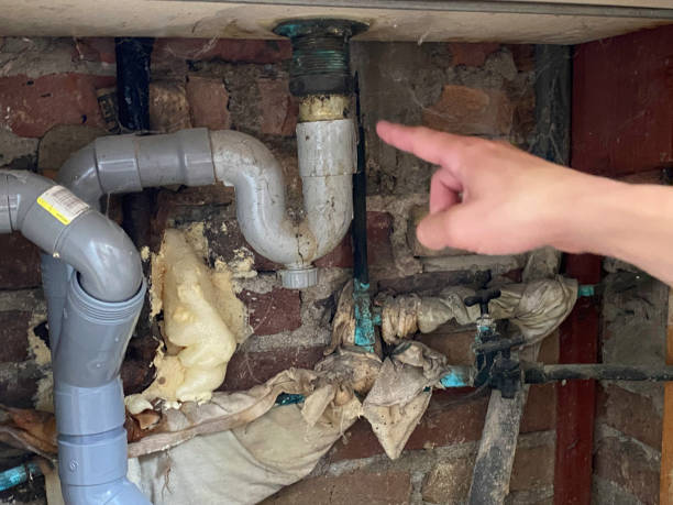 Best Water damage restoration cost  in Alton, TX