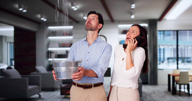 Trusted Alton, TX Water damage restoration Experts